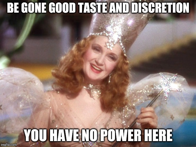 Glinda the Good Witch | BE GONE GOOD TASTE AND DISCRETION; YOU HAVE NO POWER HERE | image tagged in glinda the good witch | made w/ Imgflip meme maker