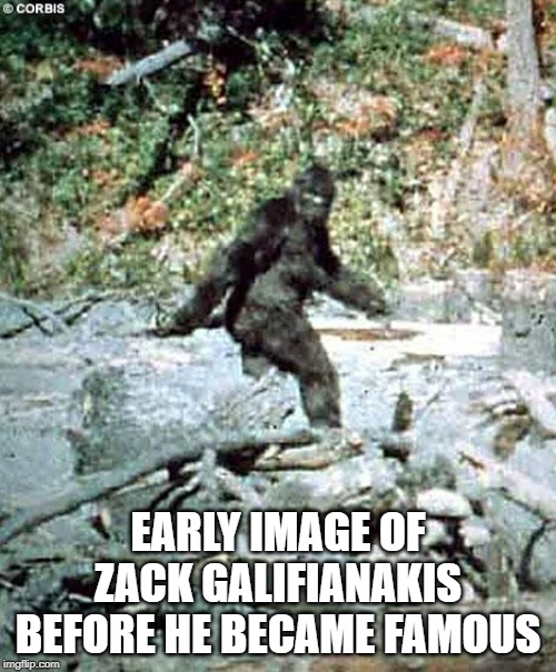 One Hairy Dude | EARLY IMAGE OF ZACK GALIFIANAKIS BEFORE HE BECAME FAMOUS | image tagged in bigfoot | made w/ Imgflip meme maker