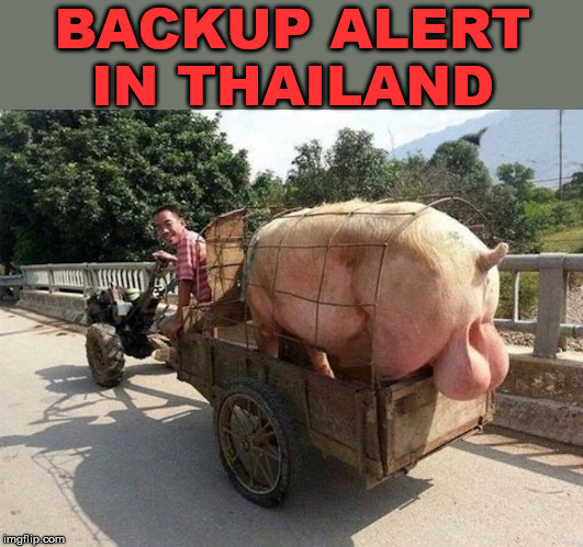 When it squeals then you know you are too close. | BACKUP ALERT IN THAILAND | image tagged in backup,alert,invention | made w/ Imgflip meme maker
