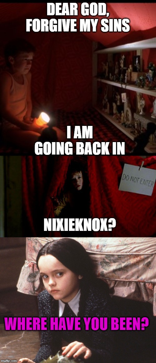 DEAR GOD, FORGIVE MY SINS I AM GOING BACK IN NIXIEKNOX? WHERE HAVE YOU BEEN? | made w/ Imgflip meme maker