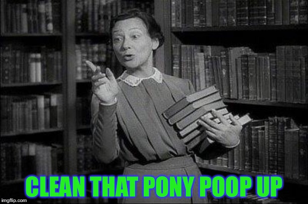 Wealthy Librarian | CLEAN THAT PONY POOP UP | image tagged in wealthy librarian | made w/ Imgflip meme maker