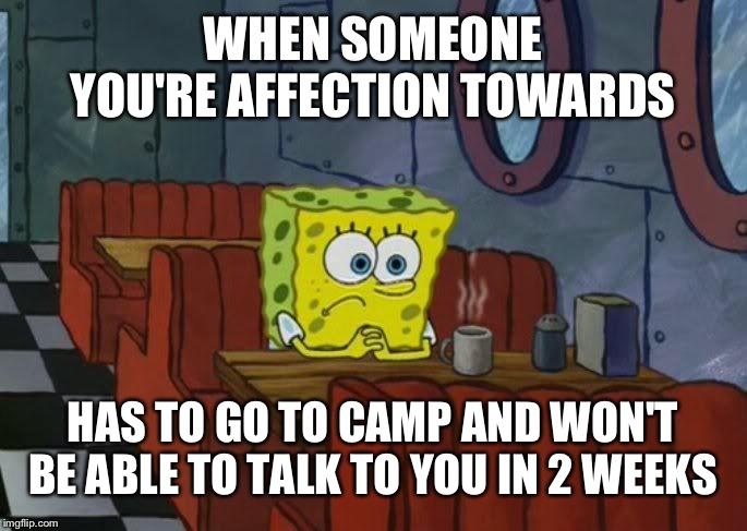 At least I have you guys | WHEN SOMEONE YOU'RE AFFECTION TOWARDS; HAS TO GO TO CAMP AND WON'T BE ABLE TO TALK TO YOU IN 2 WEEKS | image tagged in sad spongebob | made w/ Imgflip meme maker