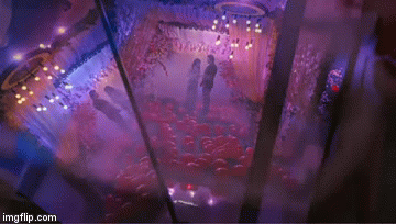 image tagged in gifs | made w/ Imgflip video-to-gif maker