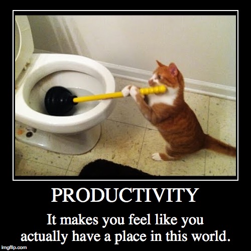 PRODUCTIVITY | image tagged in funny,demotivationals,cats | made w/ Imgflip demotivational maker