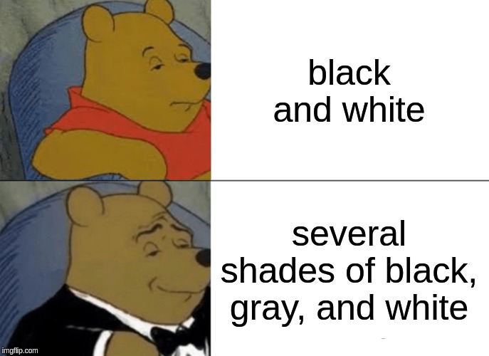 Tuxedo Winnie The Pooh Meme |  black and white; several shades of black, gray, and white | image tagged in memes,tuxedo winnie the pooh | made w/ Imgflip meme maker