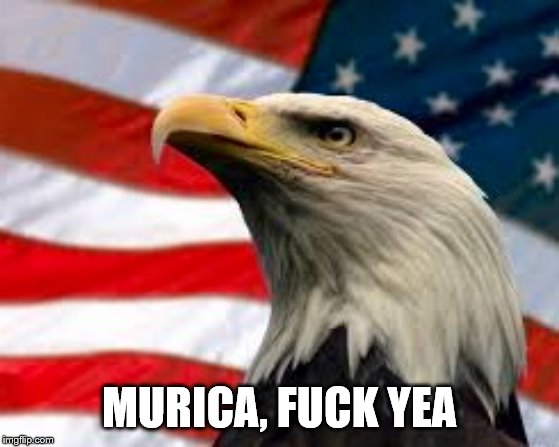 Murica Patriotic Eagle | MURICA, F**K YEA | image tagged in murica patriotic eagle | made w/ Imgflip meme maker