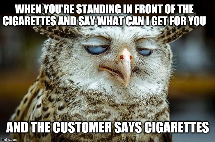 annoyed owl | WHEN YOU'RE STANDING IN FRONT OF THE CIGARETTES AND SAY WHAT CAN I GET FOR YOU; AND THE CUSTOMER SAYS CIGARETTES | image tagged in annoyed owl,retail | made w/ Imgflip meme maker