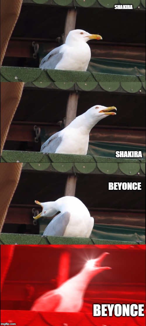 Inhaling Seagull | SHAKIRA; SHAKIRA; BEYONCE; BEYONCE | image tagged in memes,inhaling seagull | made w/ Imgflip meme maker