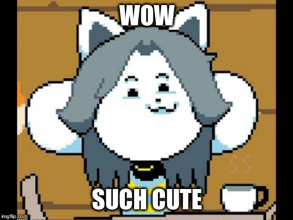 temmie | WOW; SUCH CUTE | image tagged in temmie,cats,cat | made w/ Imgflip meme maker