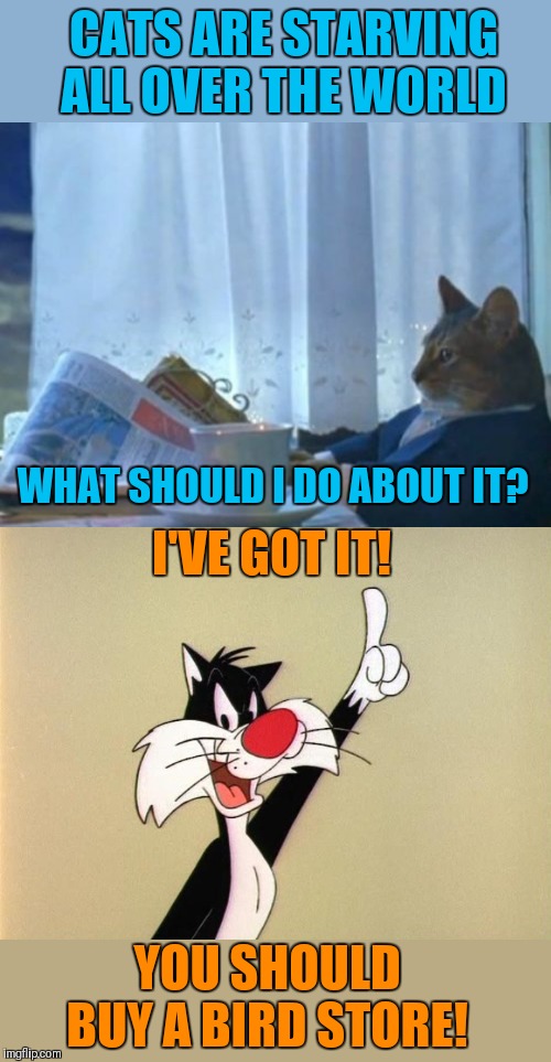Bad ol' puddy tat! | CATS ARE STARVING ALL OVER THE WORLD; WHAT SHOULD I DO ABOUT IT? I'VE GOT IT! YOU SHOULD BUY A BIRD STORE! | image tagged in memes,i should buy a boat cat,looney tunes,tweety bird,44colt,funny | made w/ Imgflip meme maker