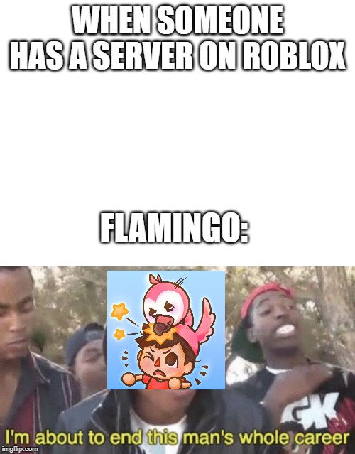  WHEN SOMEONE HAS A SERVER ON ROBLOX; FLAMINGO: | image tagged in blank white template | made w/ Imgflip meme maker