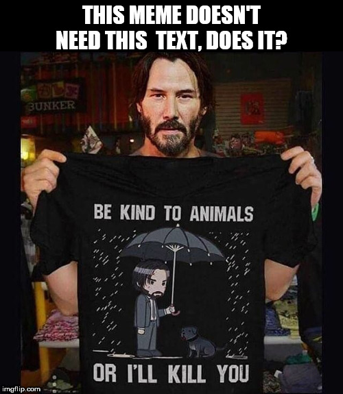 Keanu Wick | THIS MEME DOESN'T NEED THIS  TEXT, DOES IT? | image tagged in keanu wick | made w/ Imgflip meme maker