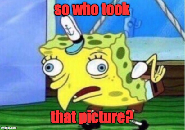 Mocking Spongebob Meme | so who took that picture? | image tagged in memes,mocking spongebob | made w/ Imgflip meme maker