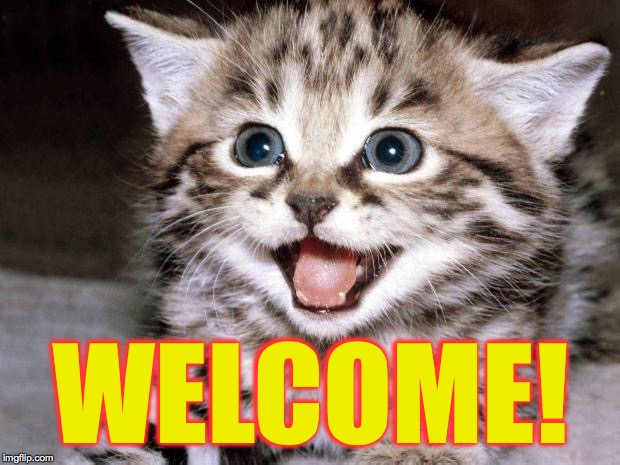 Cute Kitten Hopes | WELCOME! | image tagged in cute kitten hopes | made w/ Imgflip meme maker