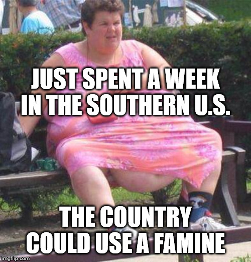 Fat Women  | JUST SPENT A WEEK IN THE SOUTHERN U.S. THE COUNTRY COULD USE A FAMINE | image tagged in fat women | made w/ Imgflip meme maker