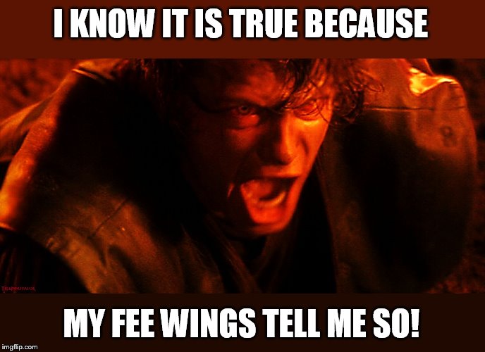 right in the feels | I KNOW IT IS TRUE BECAUSE MY FEE WINGS TELL ME SO! | image tagged in anakin angry triggered | made w/ Imgflip meme maker