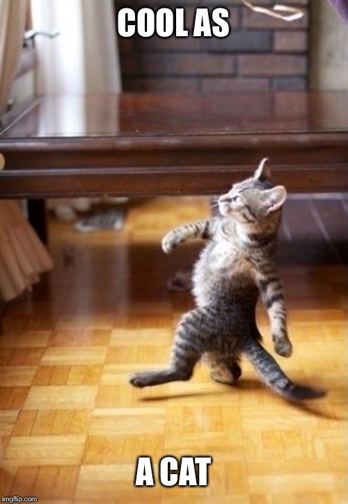 Cool Cat Stroll Meme | COOL AS A CAT | image tagged in memes,cool cat stroll | made w/ Imgflip meme maker