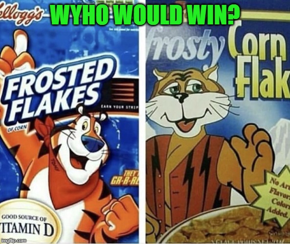 Off brand frosted flakes | WYHO WOULD WIN? | image tagged in off brand frosted flakes | made w/ Imgflip meme maker