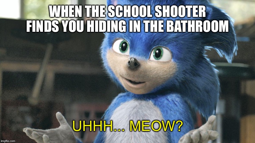 Uhhh... Meow? | WHEN THE SCHOOL SHOOTER FINDS YOU HIDING IN THE BATHROOM; UHHH... MEOW? | image tagged in sonic movie | made w/ Imgflip meme maker