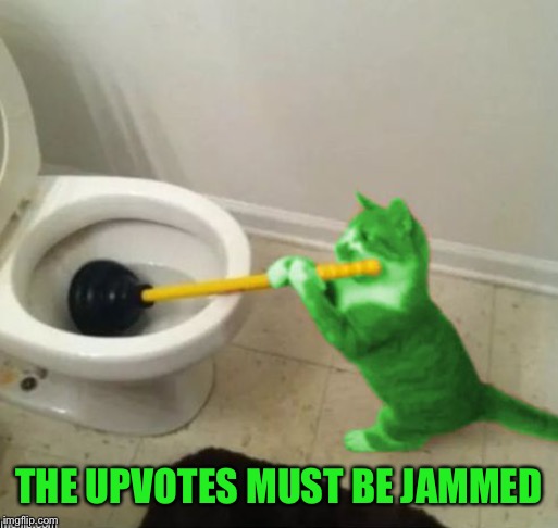 RayCat's toilet | THE UPVOTES MUST BE JAMMED | image tagged in raycat's toilet | made w/ Imgflip meme maker