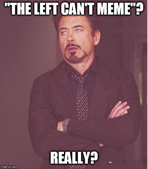 Face You Make Robert Downey Jr Meme | "THE LEFT CAN'T MEME"? REALLY? | image tagged in memes,face you make robert downey jr,left,meme,the left can't meme,the right can't meme | made w/ Imgflip meme maker