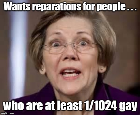 Reparations | Wants reparations for people . . . who are at least 1/1024 gay | image tagged in full retard senator elizabeth warren,reparations | made w/ Imgflip meme maker