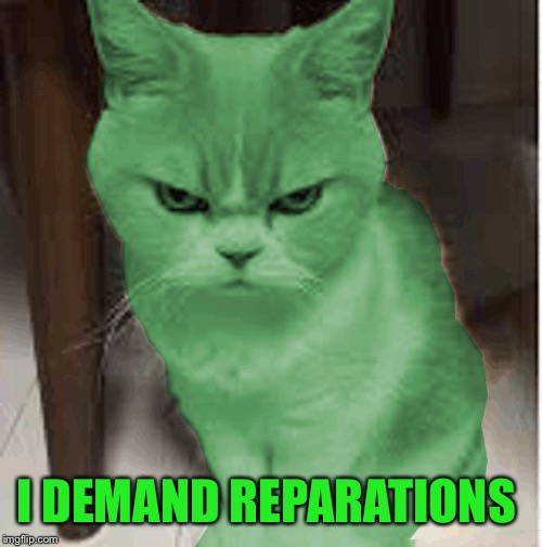 RayCat angry | I DEMAND REPARATIONS | image tagged in raycat angry | made w/ Imgflip meme maker
