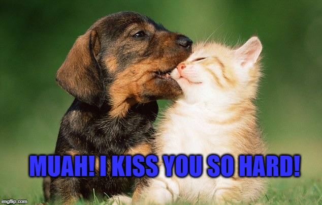 MUAH! I KISS YOU SO HARD! | made w/ Imgflip meme maker