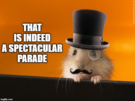 Indeed | THAT IS INDEED A SPECTACULAR PARADE | image tagged in indeed | made w/ Imgflip meme maker