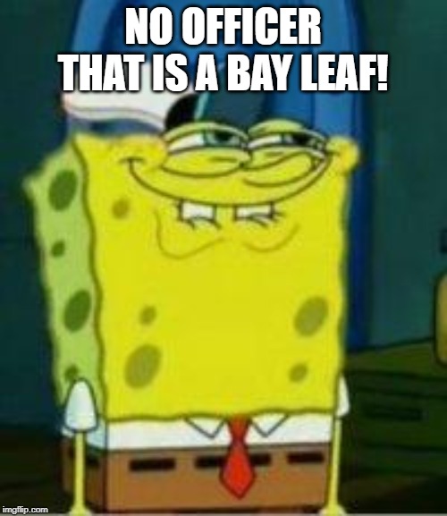 Spongebob funny face | NO OFFICER THAT IS A BAY LEAF! | image tagged in spongebob funny face | made w/ Imgflip meme maker