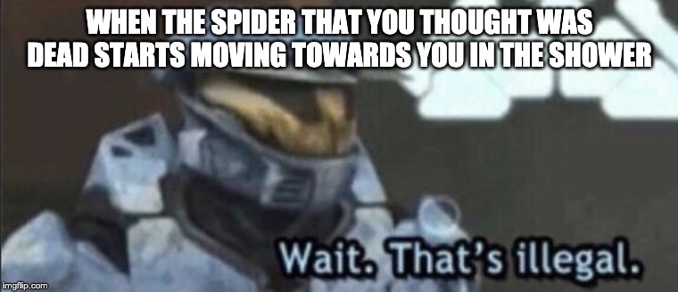 Wait that’s illegal | WHEN THE SPIDER THAT YOU THOUGHT WAS DEAD STARTS MOVING TOWARDS YOU IN THE SHOWER | image tagged in wait thats illegal | made w/ Imgflip meme maker
