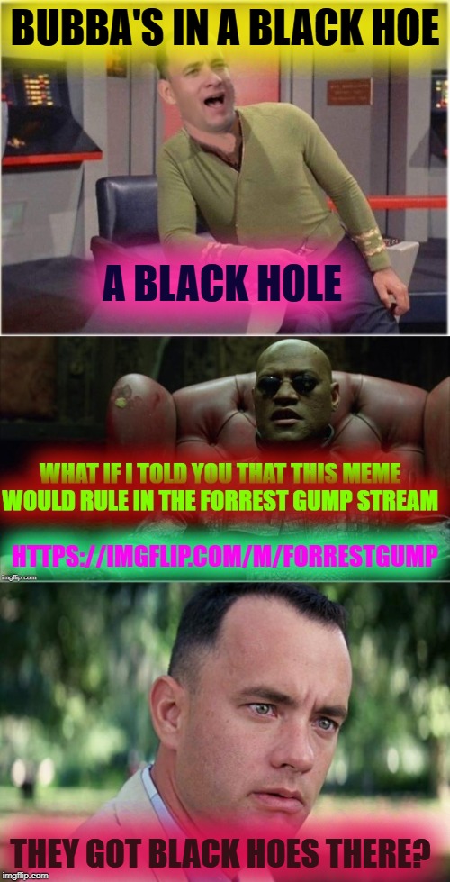 BUBBA'S IN A BLACK HOE; A BLACK HOLE; THEY GOT BLACK HOES THERE? | image tagged in capt forrest kirk | made w/ Imgflip meme maker