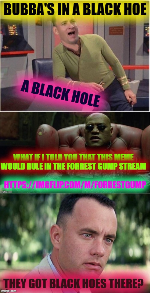 BUBBA'S IN A BLACK HOE; A BLACK HOLE; THEY GOT BLACK HOES THERE? | image tagged in capt forrest kirk | made w/ Imgflip meme maker
