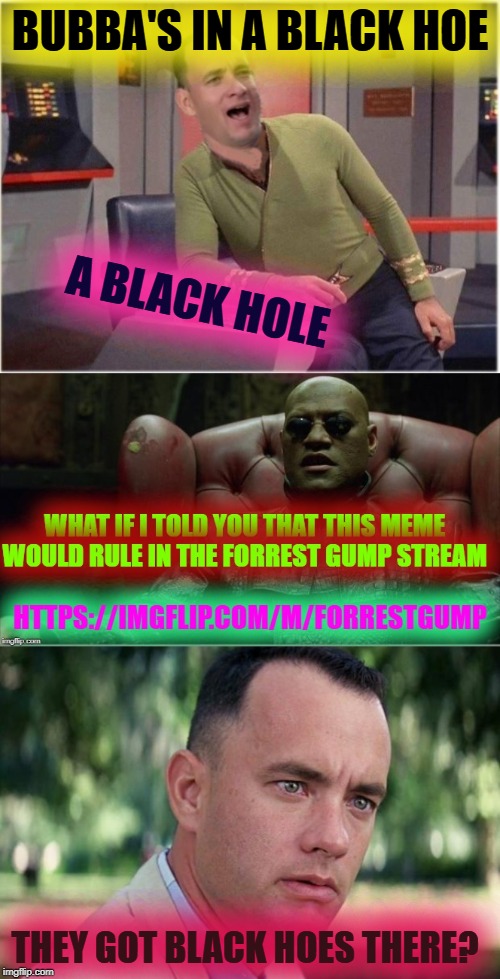 BUBBA'S IN A BLACK HOE; A BLACK HOLE; THEY GOT BLACK HOES THERE? | image tagged in capt forrest kirk | made w/ Imgflip meme maker