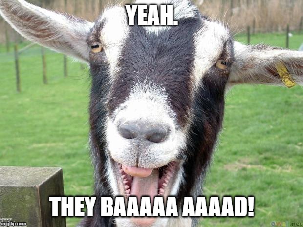 Funny Goat | YEAH. THEY BAAAAA AAAAD! | image tagged in funny goat | made w/ Imgflip meme maker