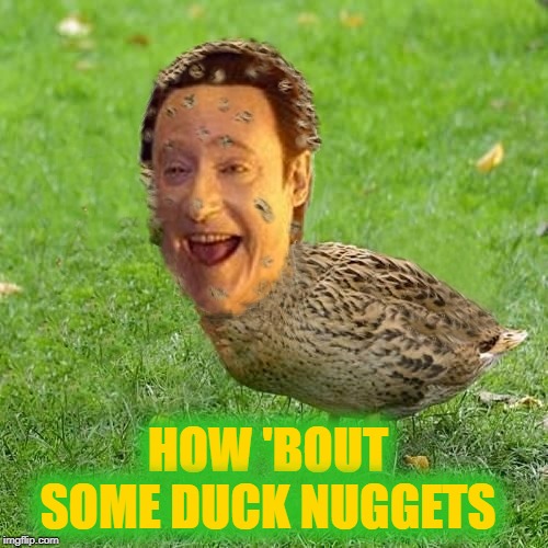 The Data Ducky | HOW 'BOUT SOME DUCK NUGGETS | image tagged in the data ducky | made w/ Imgflip meme maker
