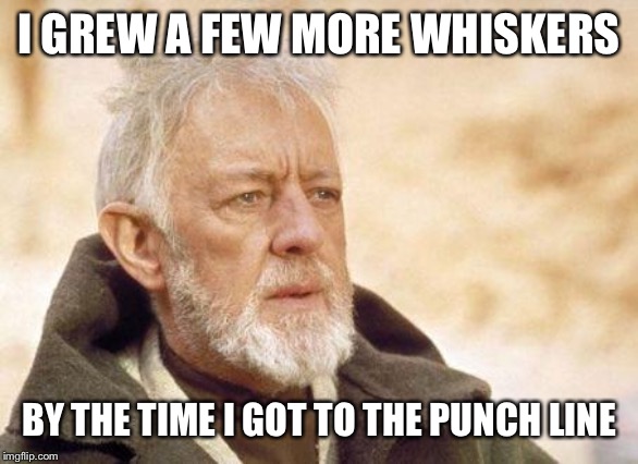 Now that's a name I haven't heard since...  | I GREW A FEW MORE WHISKERS BY THE TIME I GOT TO THE PUNCH LINE | image tagged in now that's a name i haven't heard since | made w/ Imgflip meme maker