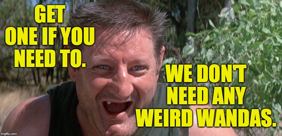 GET ONE IF YOU NEED TO. WE DON'T NEED ANY WEIRD WANDAS. | made w/ Imgflip meme maker
