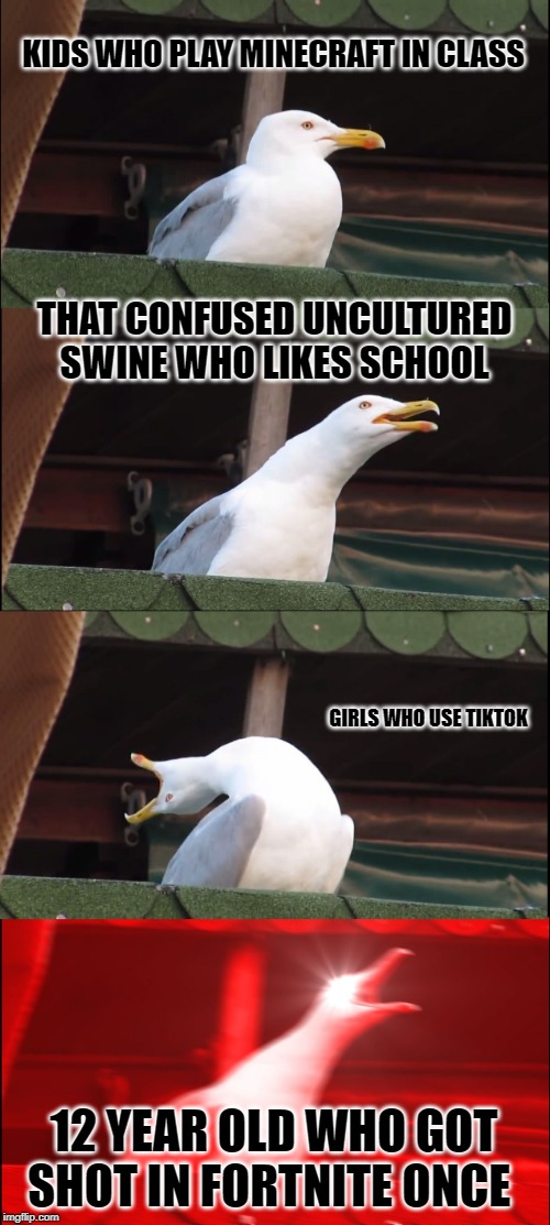 Inhaling Seagull | KIDS WHO PLAY MINECRAFT IN CLASS; THAT CONFUSED UNCULTURED SWINE WHO LIKES SCHOOL; GIRLS WHO USE TIKTOK; 12 YEAR OLD WHO GOT SHOT IN FORTNITE ONCE | image tagged in memes,inhaling seagull | made w/ Imgflip meme maker