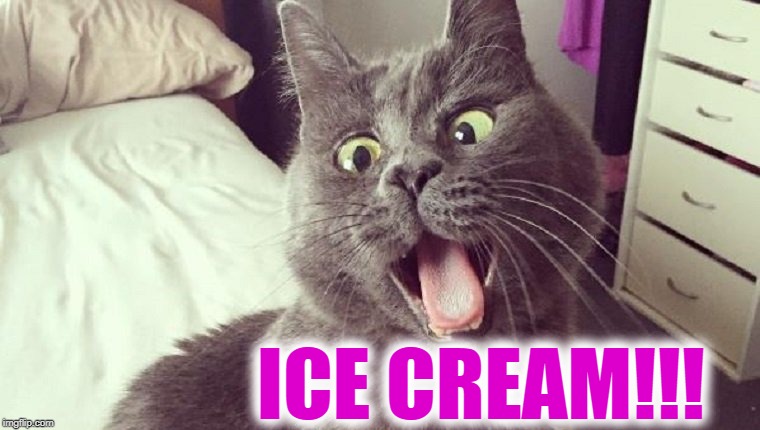 ICE CREAM!!! | made w/ Imgflip meme maker