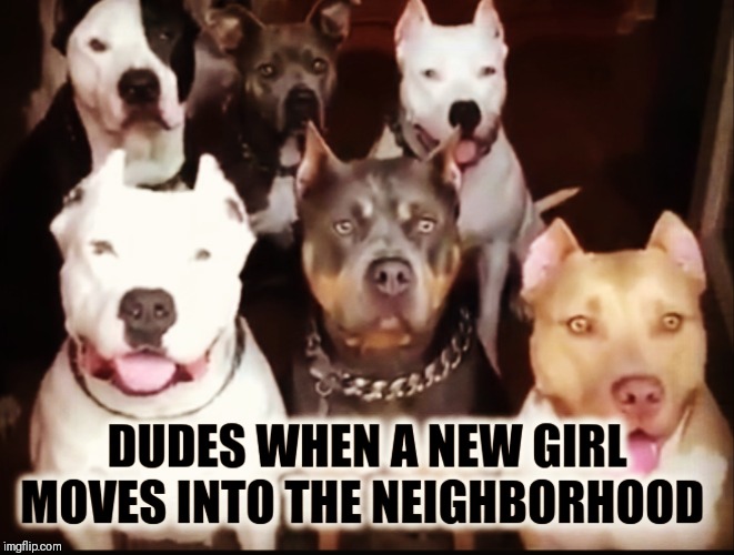 Atomic Dog | image tagged in girl next door,dog week,snoop dogg,snoopy,scooby doo | made w/ Imgflip meme maker