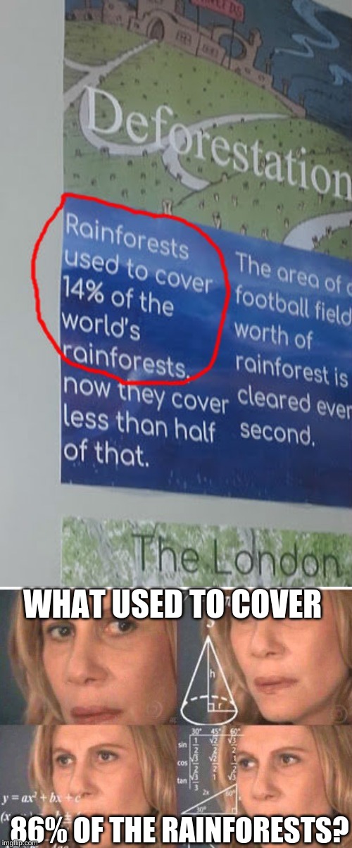 in my school's science class | WHAT USED TO COVER; 86% OF THE RAINFORESTS? | image tagged in memes,school,rainforests,trees,dank memes,science | made w/ Imgflip meme maker