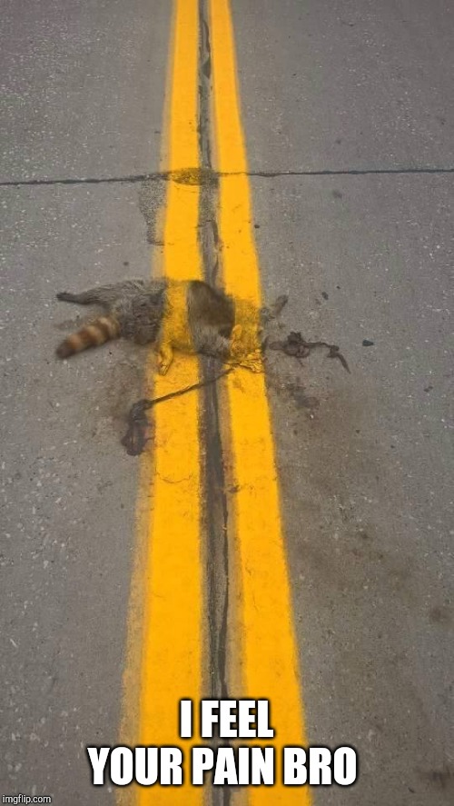 Roadkill line paint | I FEEL YOUR PAIN BRO | image tagged in roadkill line paint | made w/ Imgflip meme maker