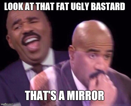 Steve Harvey Laughing Serious | LOOK AT THAT FAT UGLY BASTARD; THAT'S A MIRROR | image tagged in steve harvey laughing serious | made w/ Imgflip meme maker