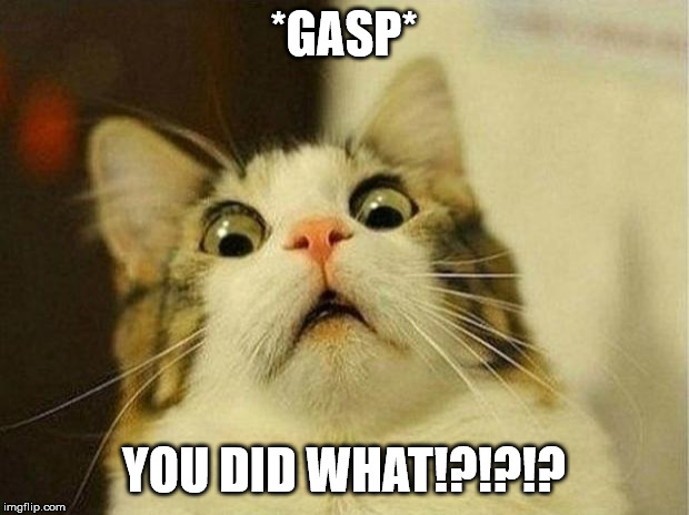 Scard Cat | *GASP*; YOU DID WHAT!?!?!? | image tagged in memes,scared cat | made w/ Imgflip meme maker