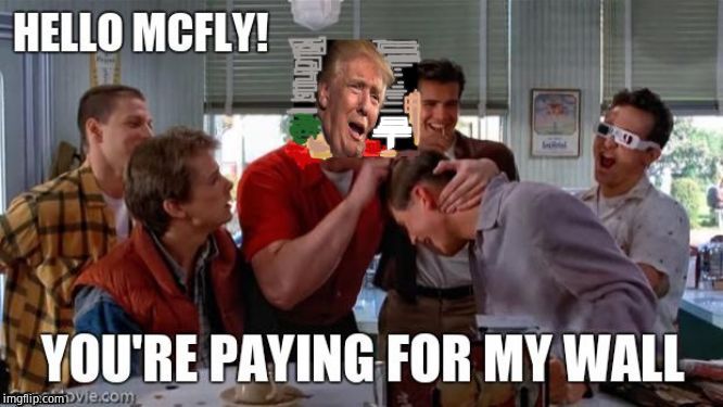 Hello! McFly! | image tagged in marty mcfly,taxpayer,back to the future,mexico,trump wall | made w/ Imgflip meme maker