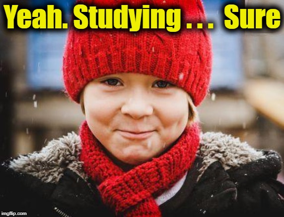 smirk | Yeah. Studying . . .  Sure | image tagged in smirk | made w/ Imgflip meme maker