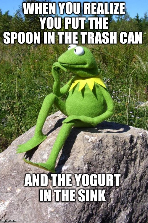 Kermit-thinking | WHEN YOU REALIZE YOU PUT THE SPOON IN THE TRASH CAN; AND THE YOGURT IN THE SINK | image tagged in kermit-thinking | made w/ Imgflip meme maker