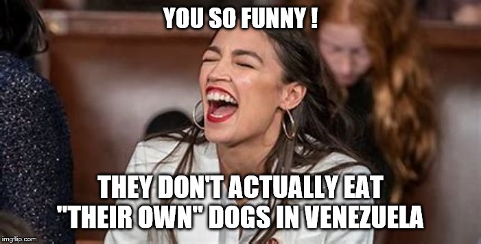 YOU SO FUNNY ! THEY DON'T ACTUALLY EAT "THEIR OWN" DOGS IN VENEZUELA | image tagged in socialism | made w/ Imgflip meme maker