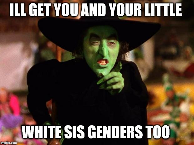 wicked witch  | ILL GET YOU AND YOUR LITTLE WHITE SIS GENDERS TOO | image tagged in wicked witch | made w/ Imgflip meme maker